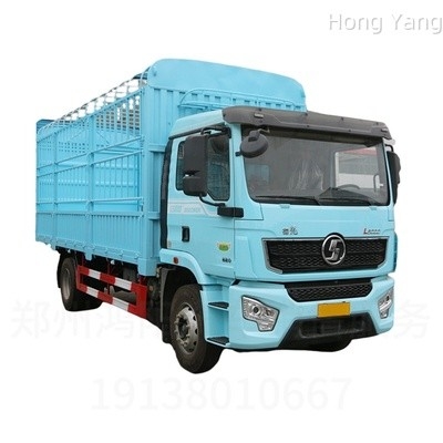 SHACMAN DELONG L5000 4*2 6*4 vrachtwagen zware vrachtwagen voor goederenvervoer gemaakt in China